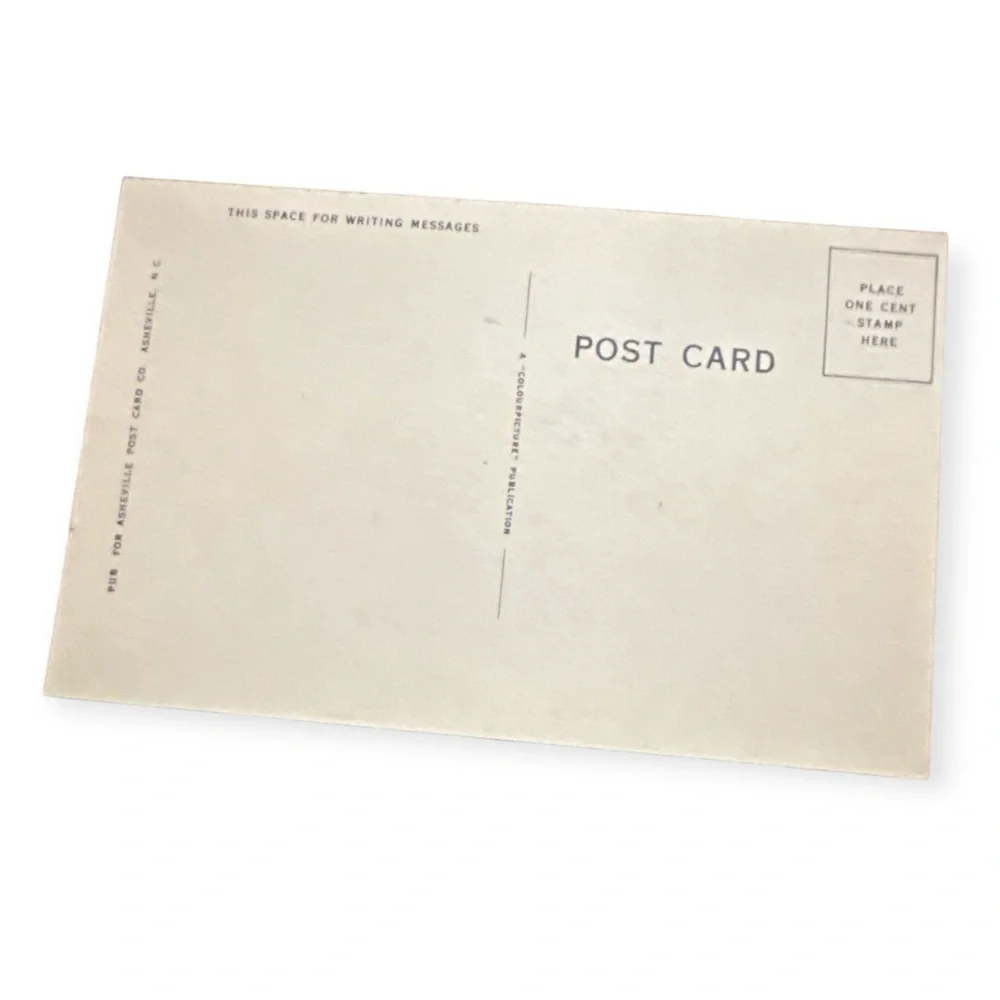 Vintage Art Print 1940’s Postcard “Just Hanging Around to Say Hello” Unused